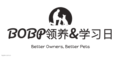 BOBP领养&学习日logo设计