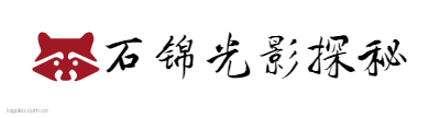 石锦光影探秘logo设计