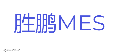 胜鹏MESlogo设计