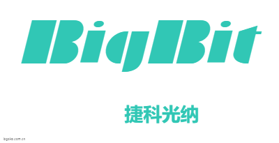 BigBitlogo设计