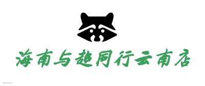 海南与超同行云南店logo设计